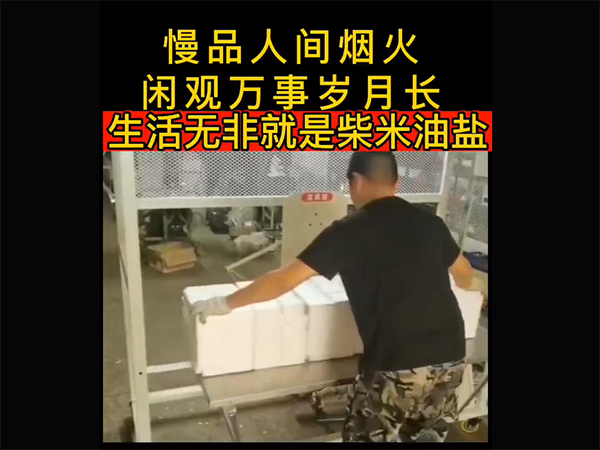 视频展示