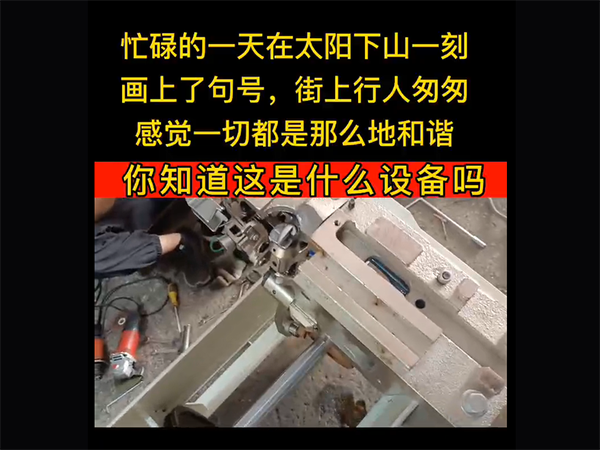 视频展示